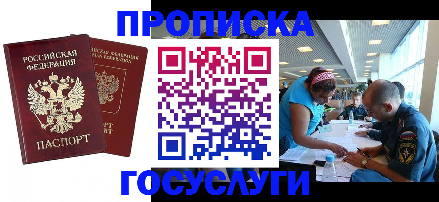 прописка поиск в Новгородской области